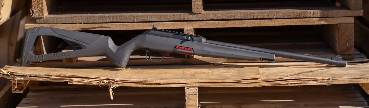 wildcat rifle