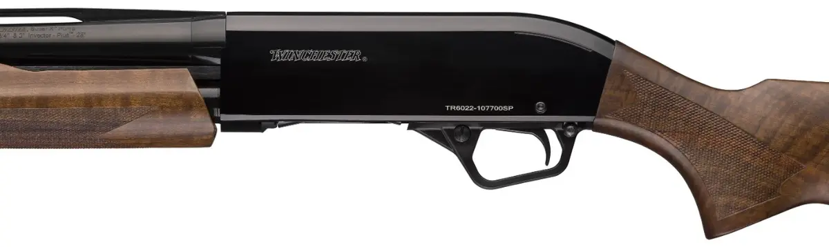 sxp-high-grade-field-512451-06