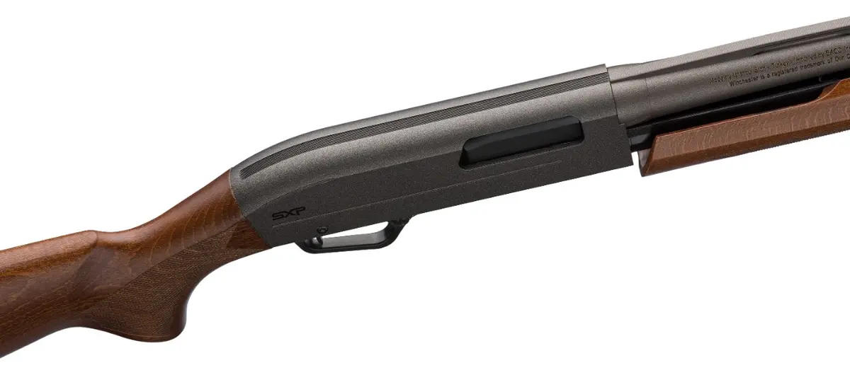 sxp-hybrid-field-512440392-04