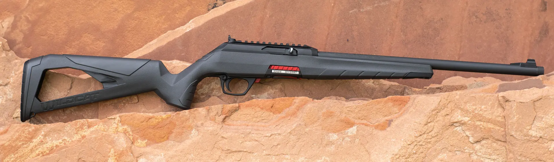 Winchester Wildcat 22 SR