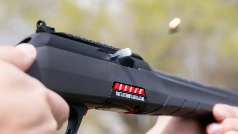 Winchester Wildcat 22