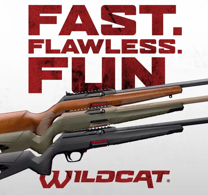 wildcat .22 rimfire rifles.