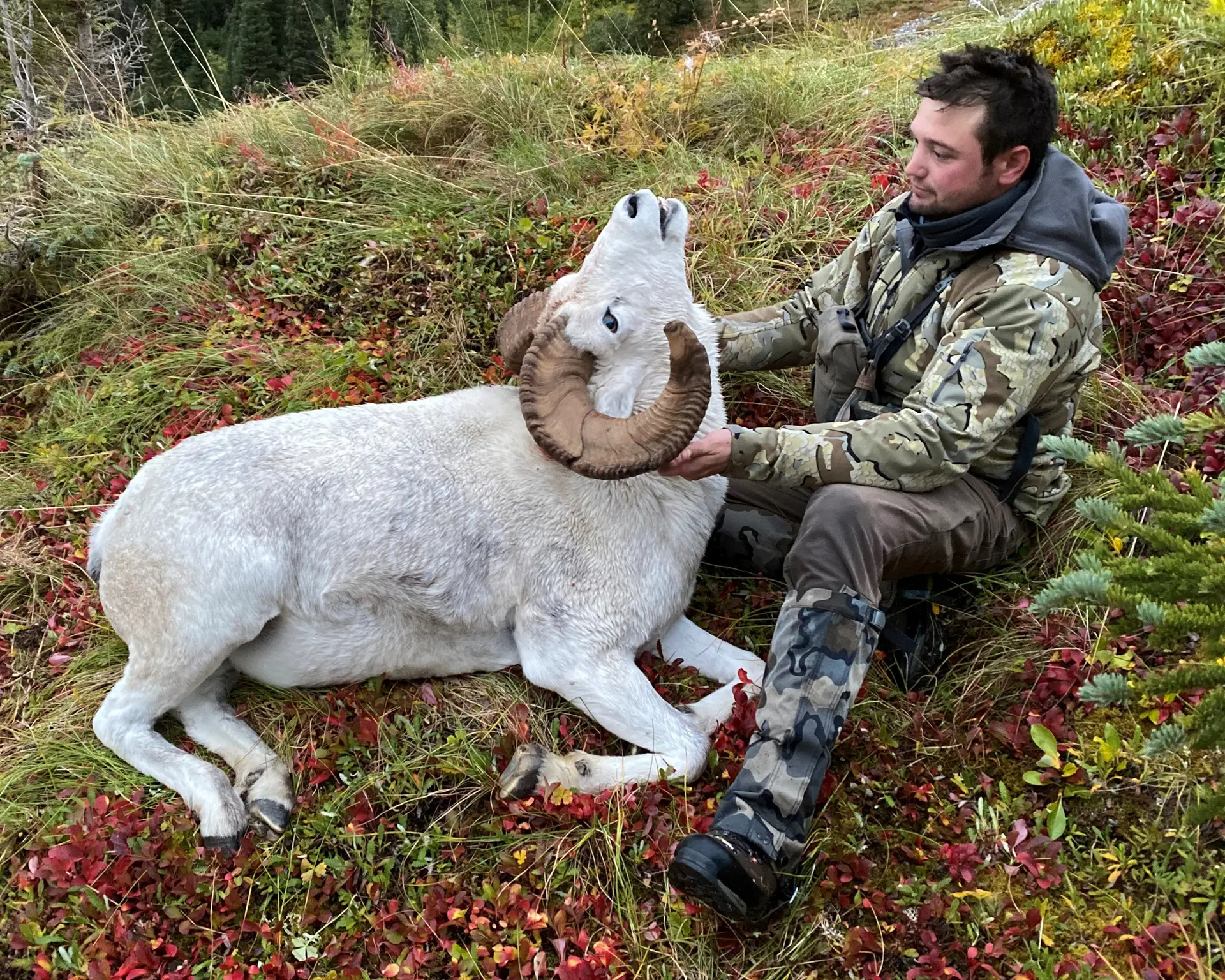 Austin Manelick with a ram