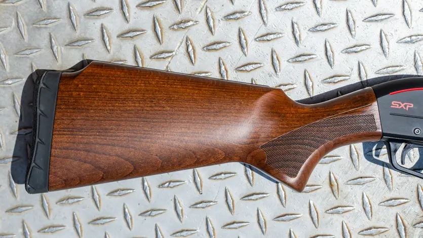 SXP Trap Stock