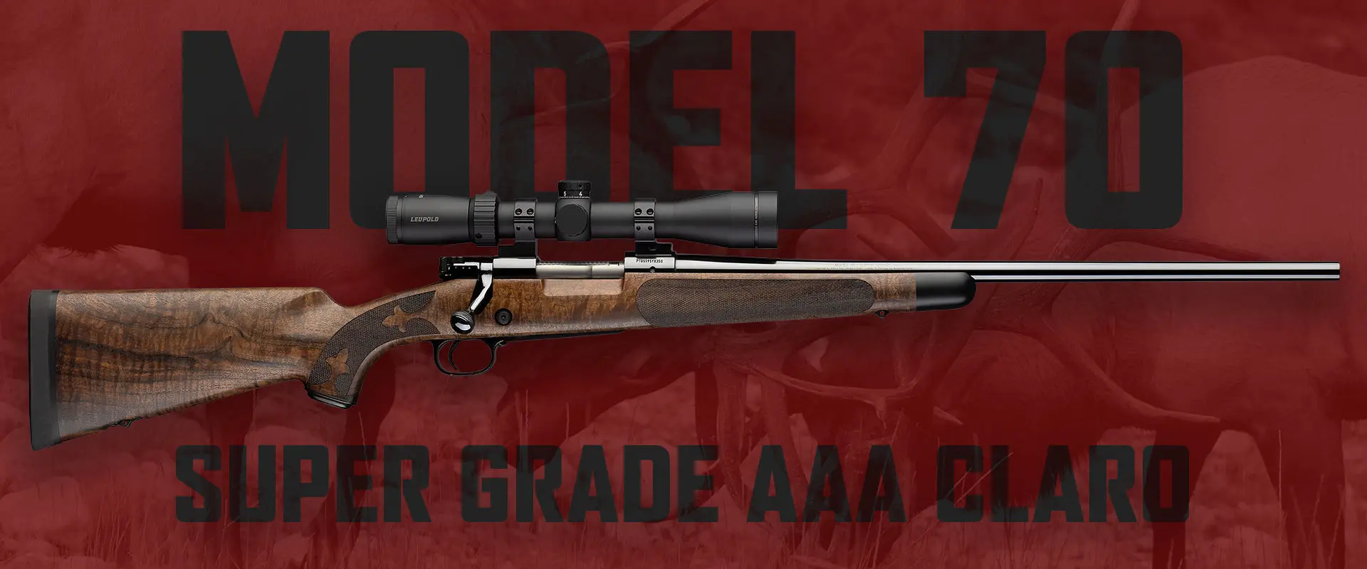 Model 70 Super Grade AAA Claro