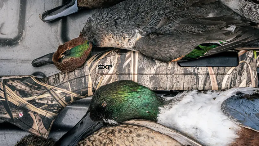 SXP Waterfowl Hunter Camo 