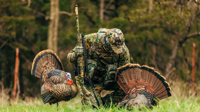 SX4 Turkey Hunter