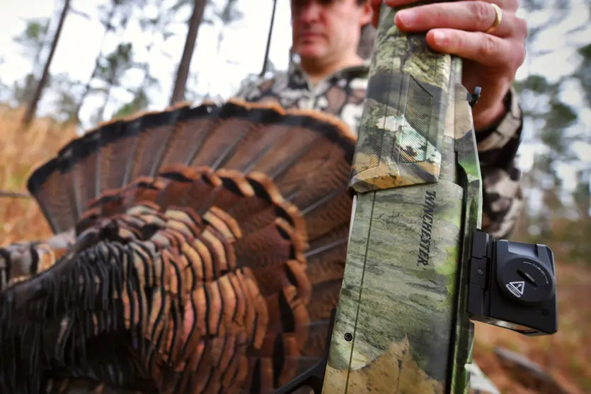 Winchester SX4 Cantilever Turkey