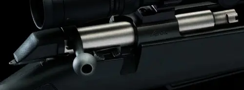 XPR Bolt
