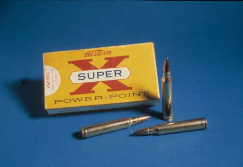 Power Point bullet