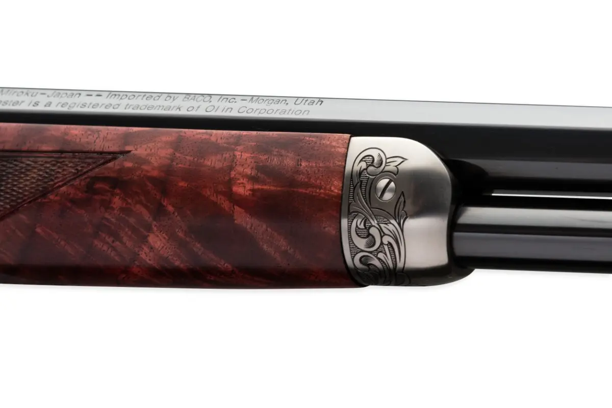 WRF16_534233140-Tang Sight_D7