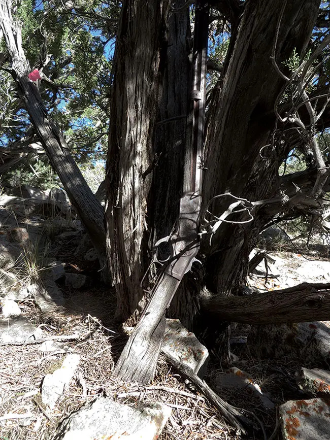 Winchester Model 1873 in the wilds of Great Basin National Park