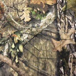 Mossy Oak Break-Up Country