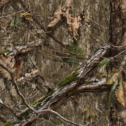 Mossy Oak Country DNA