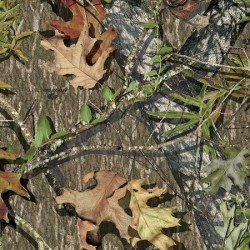 Mossy Oak Obsession