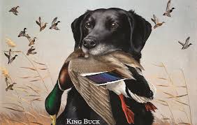 King Buck Stamp Image