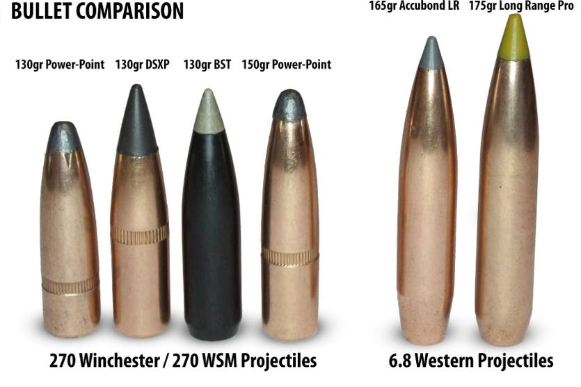 Projectile Comparison
