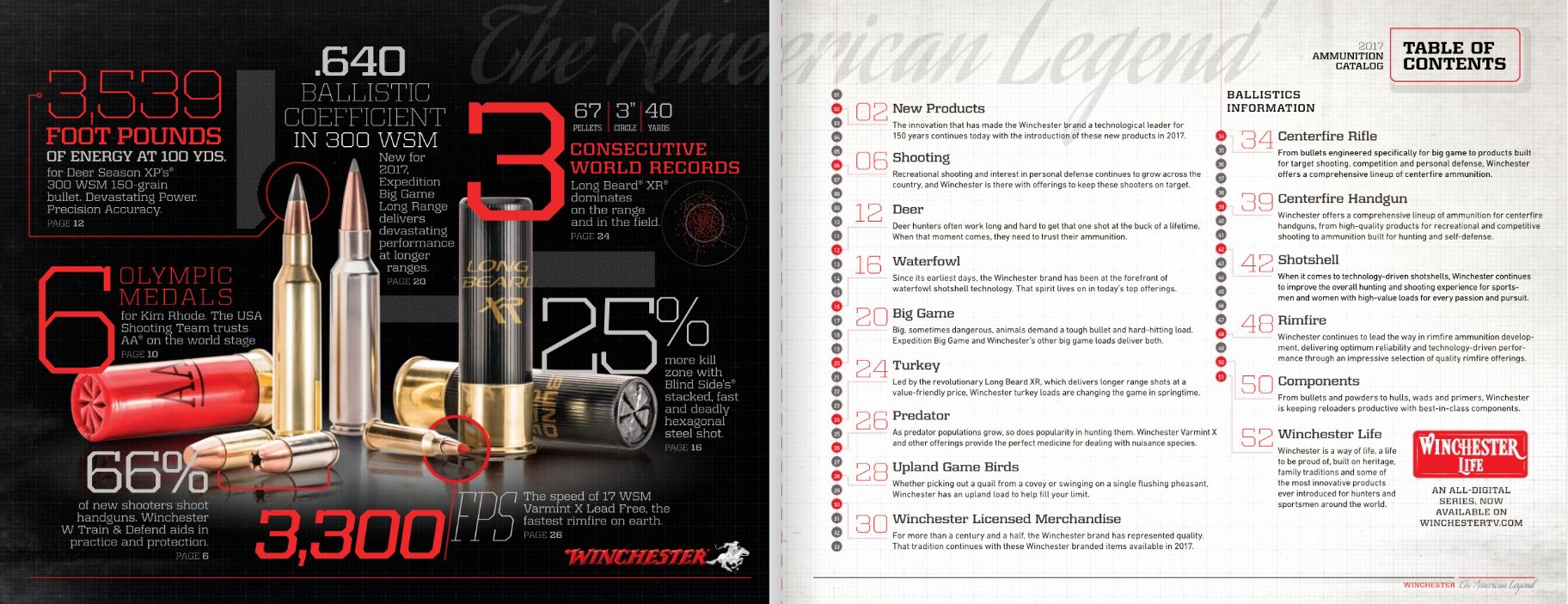 Promotions & Rebates | Winchester