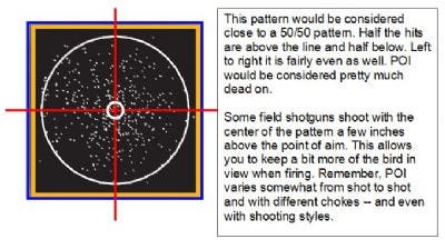 Image of a Shot Pattern