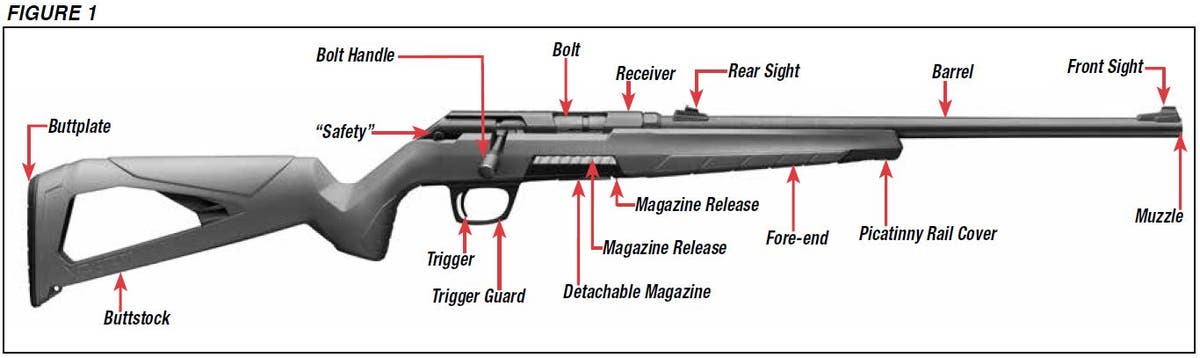 Xpert Rifle Diagram Figure 1